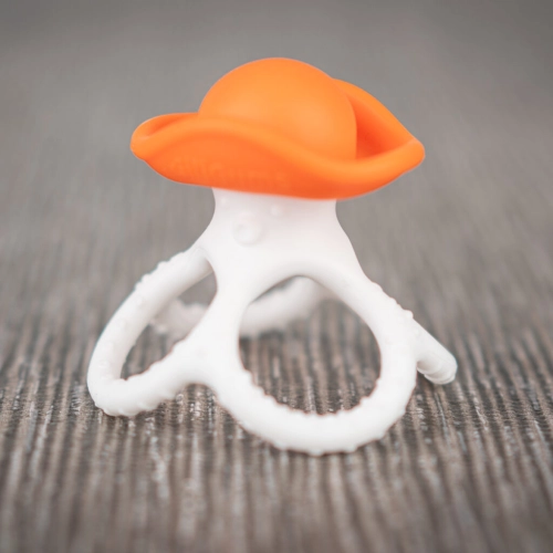 gryzaczek osmiornica pomarańczowy